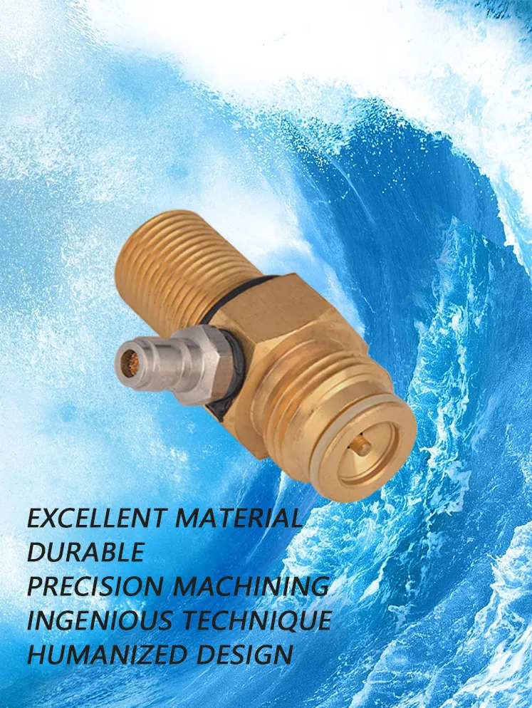 Needle Valve (1)
