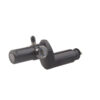 pcp air fill valve (1)
