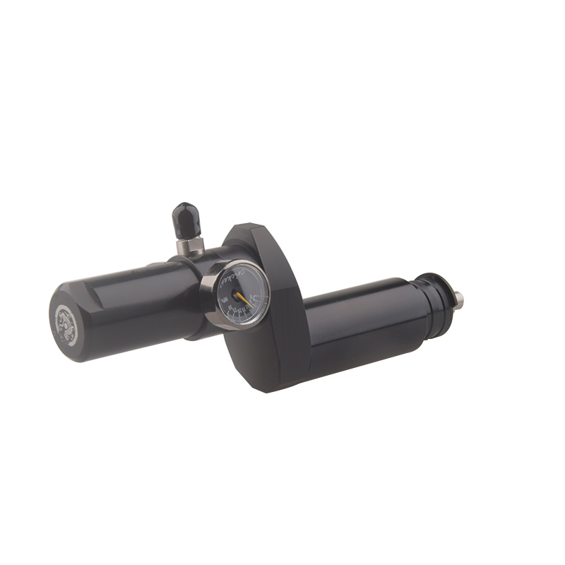 pcp air fill valve (1)