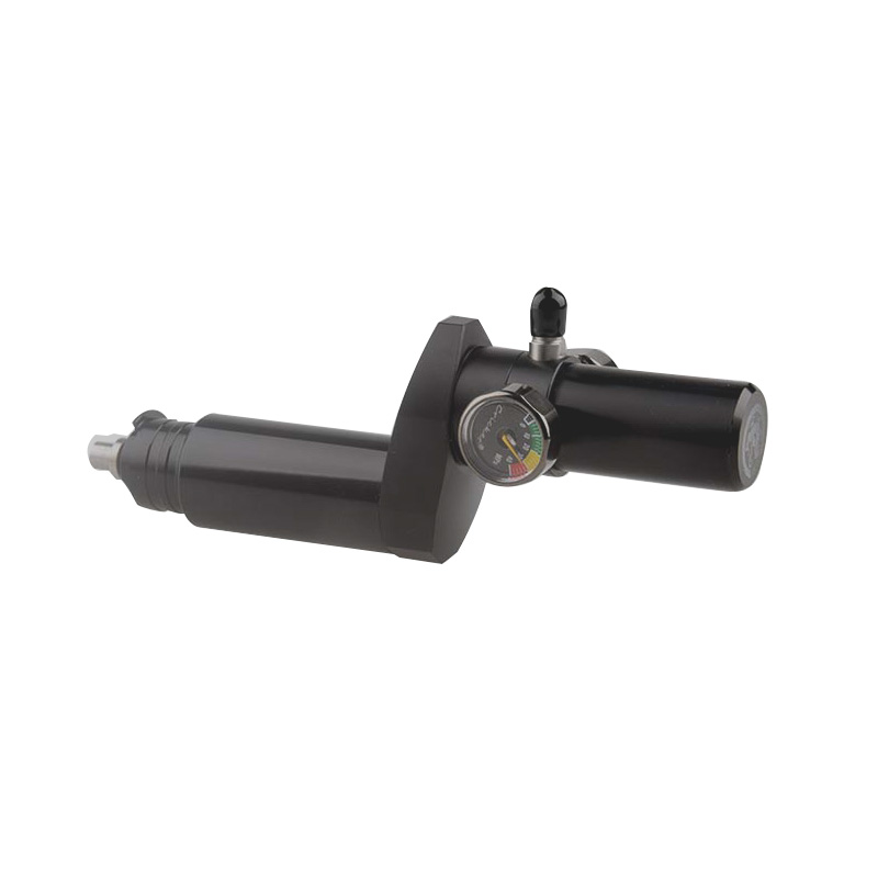 pcp air fill valve (2)